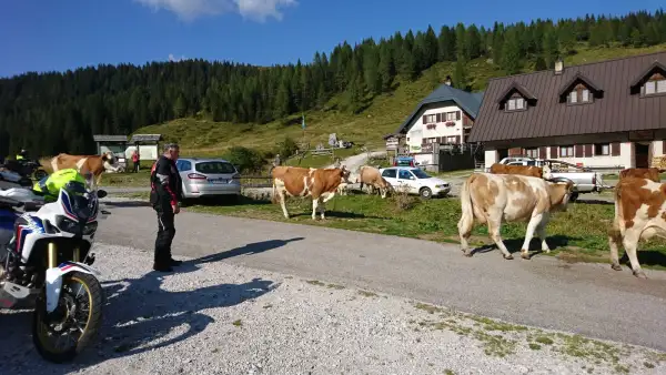 Cason di Lanza, Passo del (Lanzenpass)
